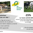 Faites inséminer vos génisses en été !!!