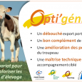 Lancement de l’action Opti’génisse
………………………………………………………………………………………………………………………………. 




La demande actuelle sur les