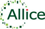 ALLICE