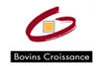 Bovins Croissance